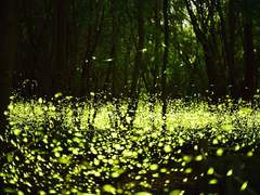 같은 말을 할 수밖에 없지 않나