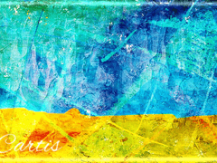 카르티스 B. 플라르