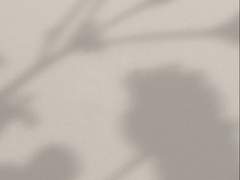 실망시켰을까요?