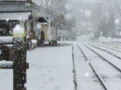 겨울이 되면 삿포로로 갈까요.