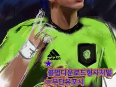 유럽축구선수 미들필더