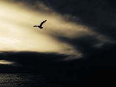 [카이신] ABRASAX : 12. 명제