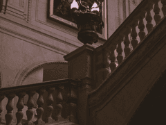 에버렛 루크 | 25 | 남성