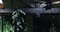 히이이이익!!!!!!!!