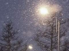 당신에게 겨울은 어떤 계절인가요?*