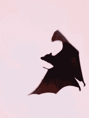 <흡혈일기> ~너와 내가 같아지는 법~ 창작소설