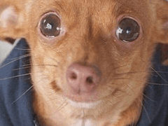 2. 경제 시리즈 - 재테크에 대하여 (솔직한 펀드와 주식 경험 공유)