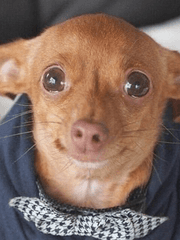 사회 초년생 자립 시리즈