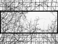 잔흔 하나 남기지 못한 가엾은 영혼아.