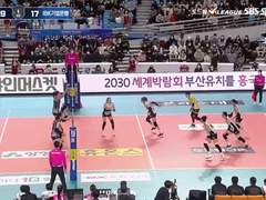 12.21(수) 19:00KOVO여 IBK기업은행 vs 대전KGC / 금일 마지막 분석글