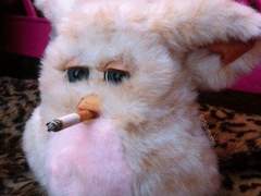 태어난데 이유가 있나요