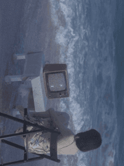 여름이 오는 소리가 들리나요