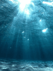 인생의 기나긴 비행속으로