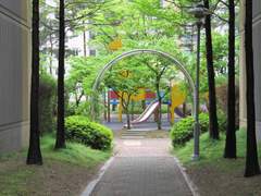 어느날 난 사진작가가 되기로 마음먹었다