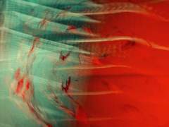 บทที่ ๒.