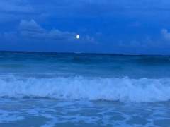 나츠 고등학교의 깜짝 이벤트!