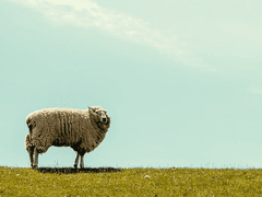 꿈에서 너를 앓아.