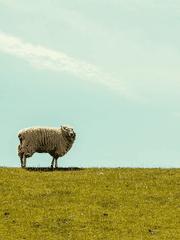 유통기한 지난 안약