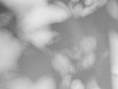 라스트 큐앤에이 下