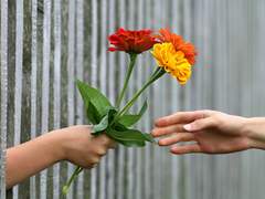 뭐 그럼 사랑해줄까?