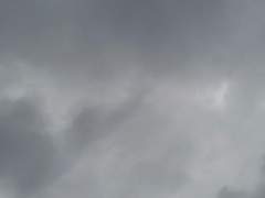 VOX AKUMA VOICE TWT 번역