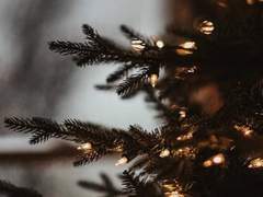 크리스마스에 기적이 올까요?