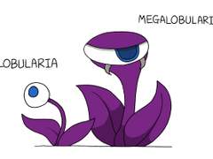 Strange Telephone 의 Globularia 와 Megalobularia