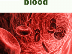 피와 그 구성 요소