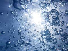 포르키스의 횃불