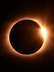 어느 별에서 온 이야기