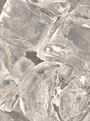 우린 이대로 얼어서