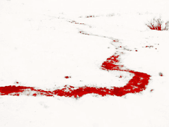 우리 다음 생애는 사랑하지 말자