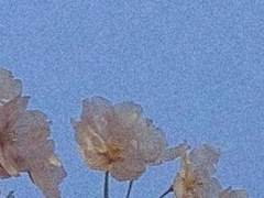 너는 나를 피곤해했지만,