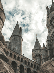 Felicia Academy | Anne