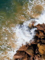 나의 모글리에게