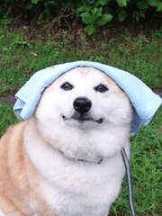 유선영_애니메이션 참여 작품