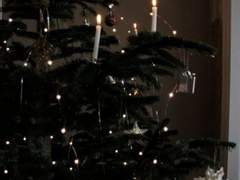 늦었지만 너의 친구가