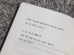 9월의 낮에는 매미가 울었고,