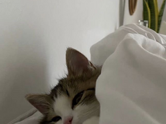 [국슙] 싸우다 결혼까지 上