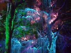 one step two steps. and gradually forward