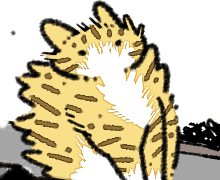 궂은 날씨 속의 고양이.