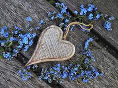 suus ’non nimis sero