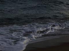 비늘에 왈츠를 새기며