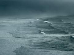 폭풍우를 닮은 여인이었다