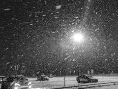 겨울은 맥박마저 얼어붙는 계절이라