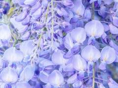 생각도 야망도 뒤로 밀어놓고.