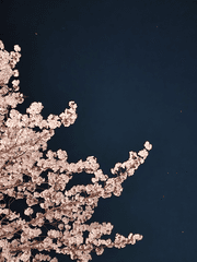 사춘-기 思春期