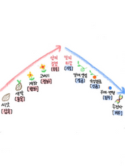 일간별 성격 [사주 보는 법 1챕터]