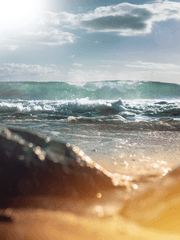 마리안느 H. 아폴리네르