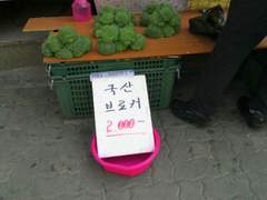 [햄얼] 브로콜리